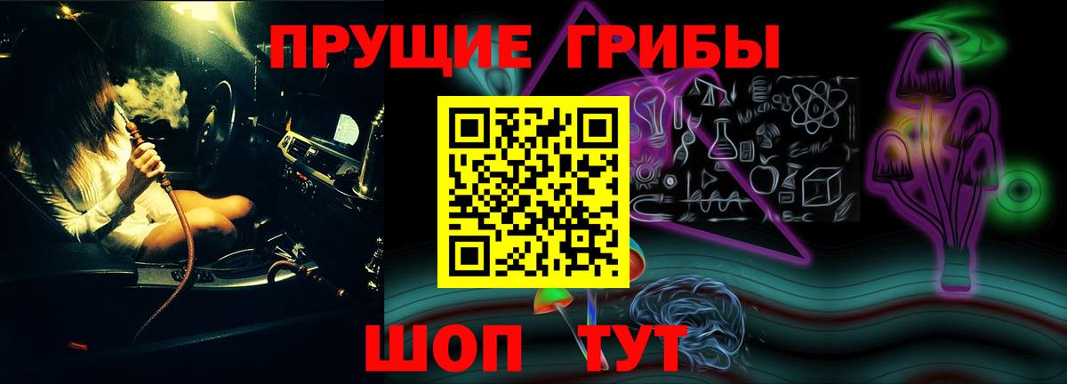 Галлюциногенные грибы Psilocybe Серов